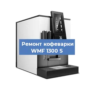 Чистка кофемашины WMF 1300 S от кофейных масел в Перми